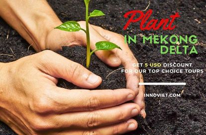 Plant a tree in Mekong Delta