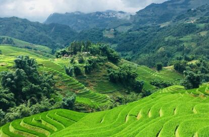 11 Days Vietnam Wellness Journey