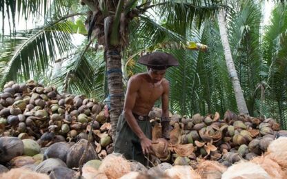 Mekong Delta Soul 2026: 5 Experiences You Won't Find in a Guidebook