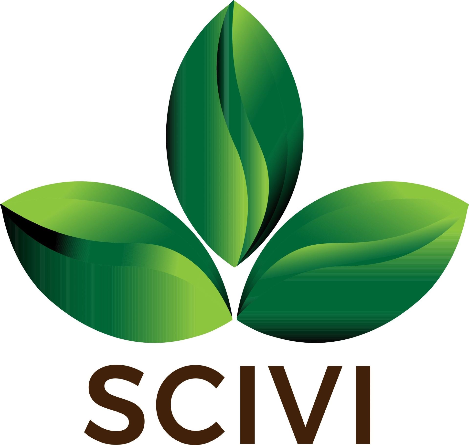 Scivi Travel